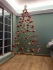 cloak the tree.jpg