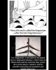 thagomizer.jpg