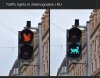 traffuc lights.jpg
