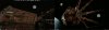 Red Dwarf Wallpaper 2b.jpg