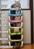 FB_IMG_1641142178960.jpg