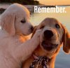 FB_IMG_1641781391089.jpg
