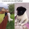D013B24C-27F7-4F8A-99BB-9B6C5DF6B2AE.jpeg