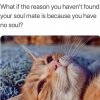 FB_IMG_1642190507143.jpg