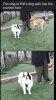 3F78411A-1FBD-46FF-9B1A-15F05AB1ACE4.jpeg