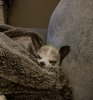 A6537CA8-D694-4B47-9FC1-13457EBEABE4.jpeg