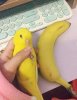 Banana Birb 1a.jpg