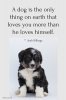 dog love.jpeg
