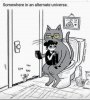 alt cat universe.jpeg