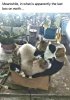 Last box for cats.jpeg
