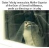 FB_IMG_1646604028040.jpg