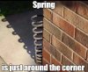 FB_IMG_1647633852667.jpg