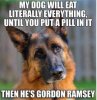 FB_IMG_1647749295799.jpg