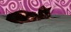 20220319_092909.jpg
