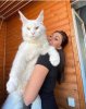 what is this cats name.jpeg
