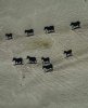 zebra shadows.jpeg