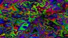 277302130_10158215530391650_7260118870268345782_n.jpg