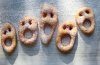 screaming donuts.jpg