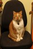 ZakInChair-small.jpg