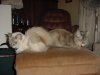 Bookends.jpg