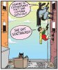 catwomen.jpg