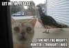 Mighty Hunter.jpg