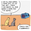 cat worm hole.png