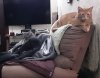 Hangin.jpg