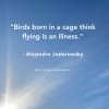 Birds-Born-in-a-Cage.jpeg