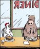 beef chicken.jpg