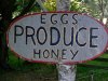 eggs produce honey.jpg