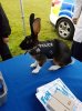 Police Bunny 1a.jpg