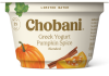 yogurt pumpkin spice.jpg.png