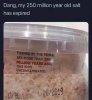 Old salt.jpg
