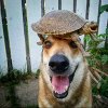 happiness avatar.jpg