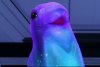 Murf.jpg