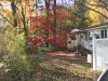 fall 3.jpeg