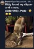 kitty pope.jpg