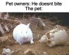 Python Rabbit 2a.jpeg