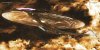 Enterprise-J.jpg
