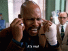 IMG_4814.gif