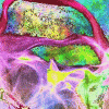 hogwash avatar.gif