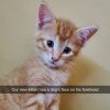 FB_IMG_1685336319467.jpg