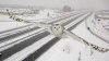 Snow Owl Photobomb 1a.jpg