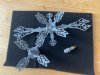 IMG_0868.jpeg