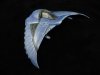 QMx_DeathGlider_02.jpg