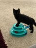 IMG_5034.jpeg