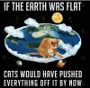 FB_IMG_1690946537796.jpg