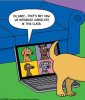 FB_IMG_1693231736105.jpg