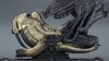 alien.jpg